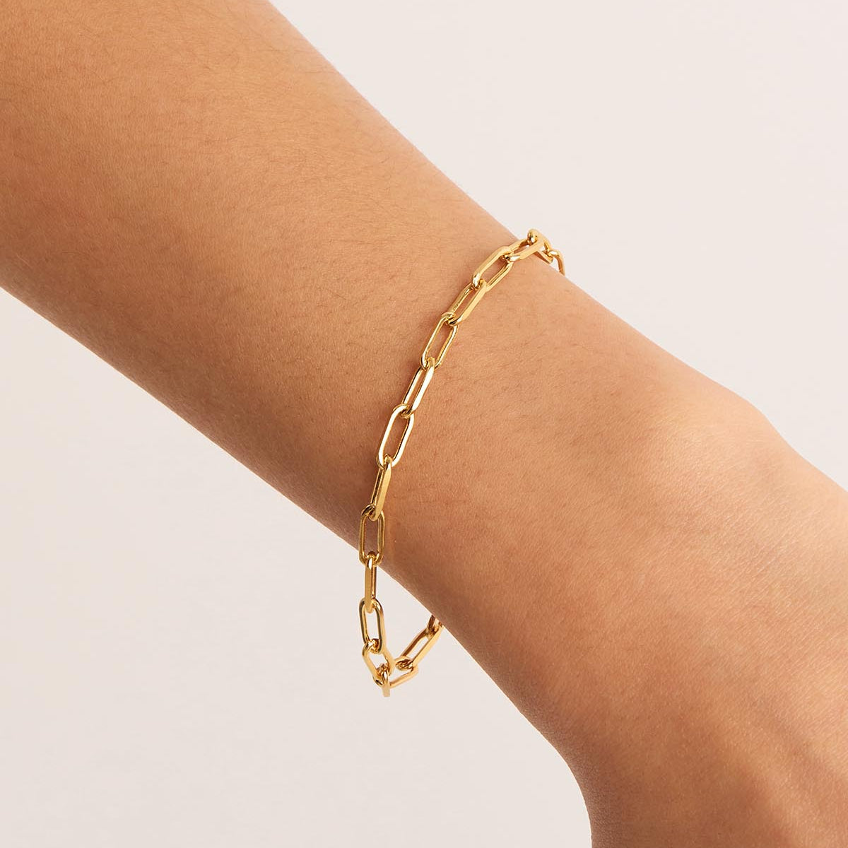 Link & Chain Charm Bracelet in 18K Gold Vermeil