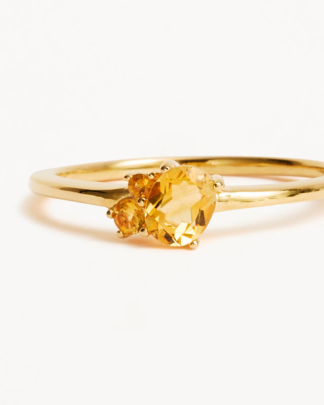 18k Gold Vermeil Kindred Birthstone Ring - November
