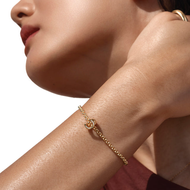 Behind the Design: A Radiant Tribute to the Year of the Horse