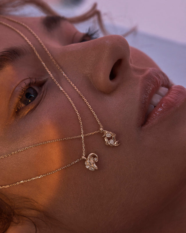 18k Gold Vermeil You Are Magic Zodiac Necklace Pisces