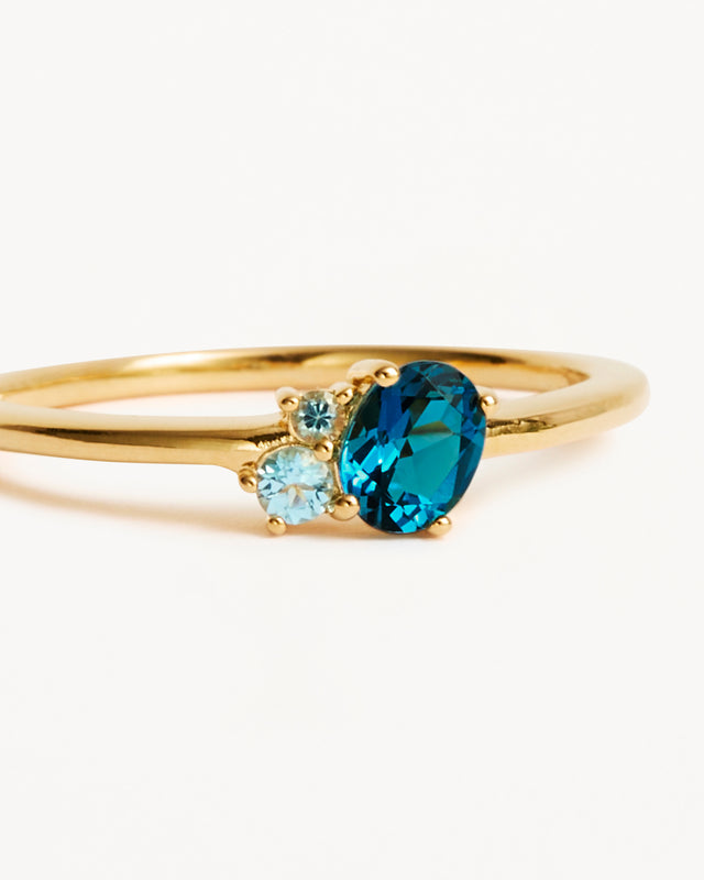 18k Gold Vermeil Kindred Birthstone Ring - December