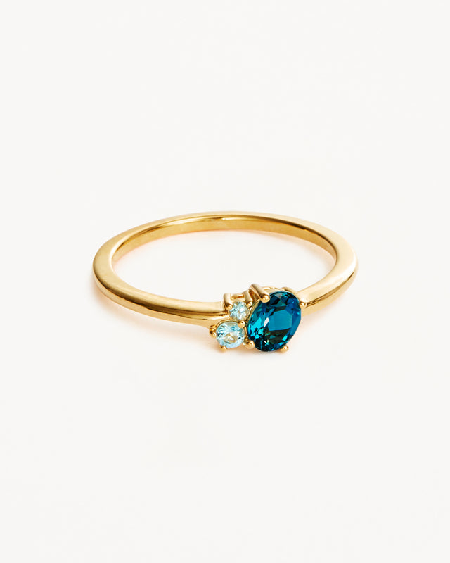 18k Gold Vermeil Kindred Birthstone Ring - December