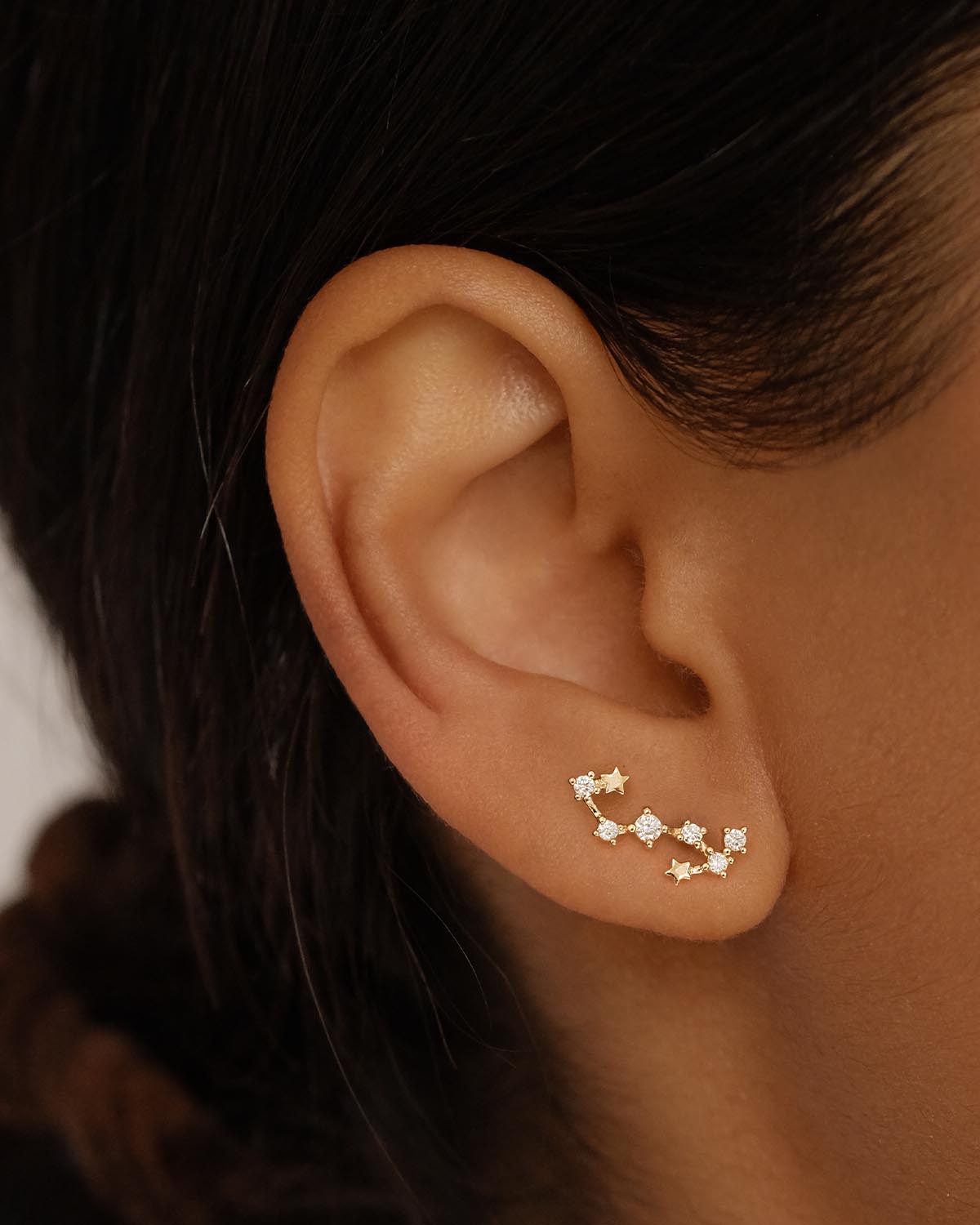 Capricorn on sale constellation earrings