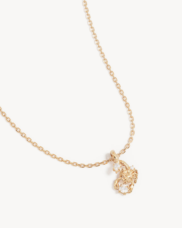 18k Gold Vermeil You Are Magic Zodiac Necklace Scorpio