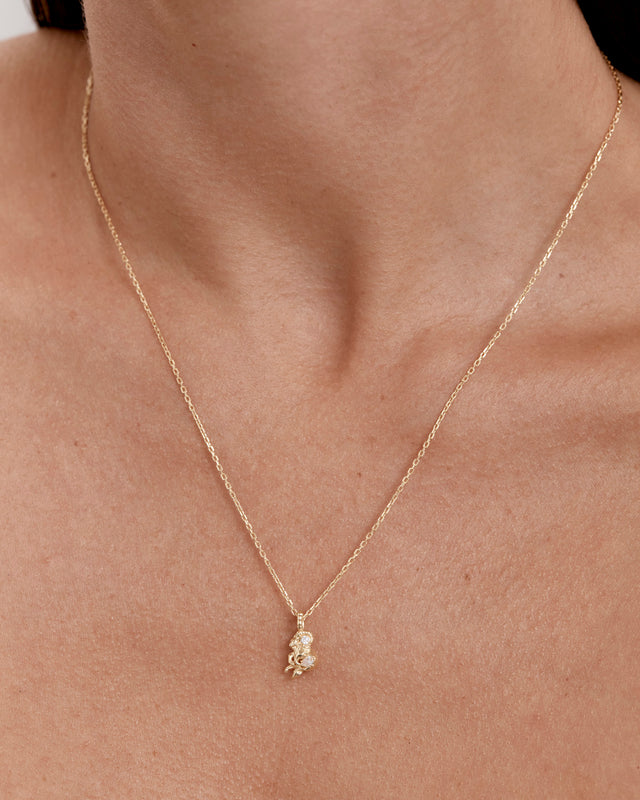 18k Gold Vermeil You Are Magic Zodiac Necklace Capricorn
