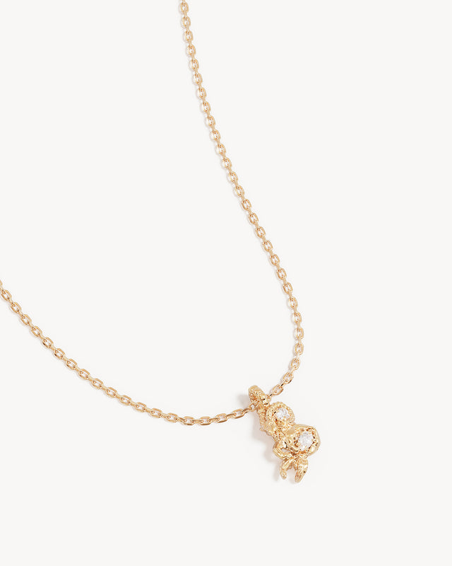 18k Gold Vermeil You Are Magic Zodiac Necklace Capricorn