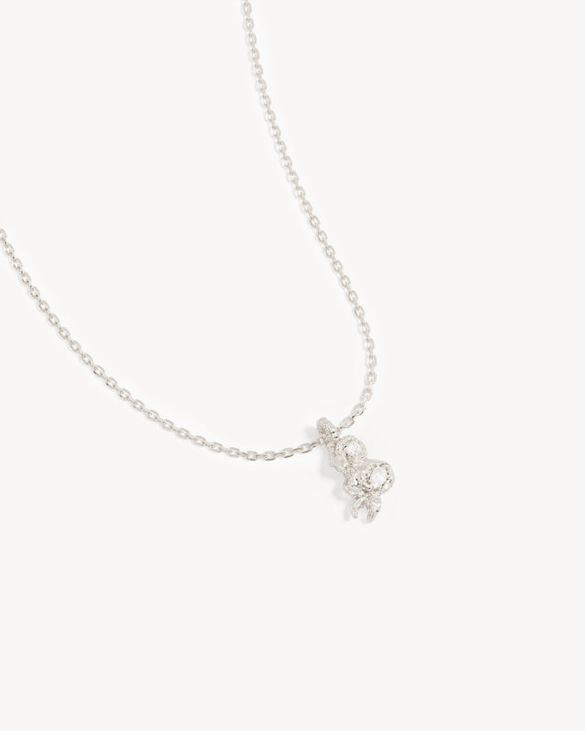 Sterling Silver You Are Magic Zodiac Necklace Capricorn