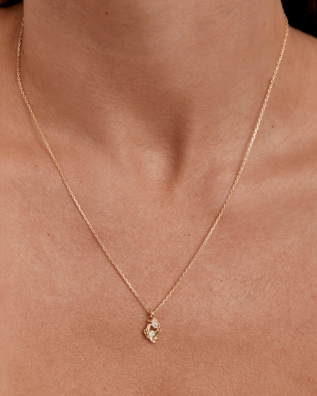 18k Gold Vermeil You Are Magic Zodiac Necklace Pisces
