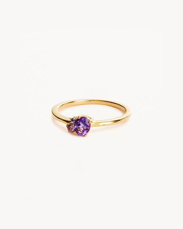 18k Gold Vermeil Kindred Birthstone Ring February – by charlotte