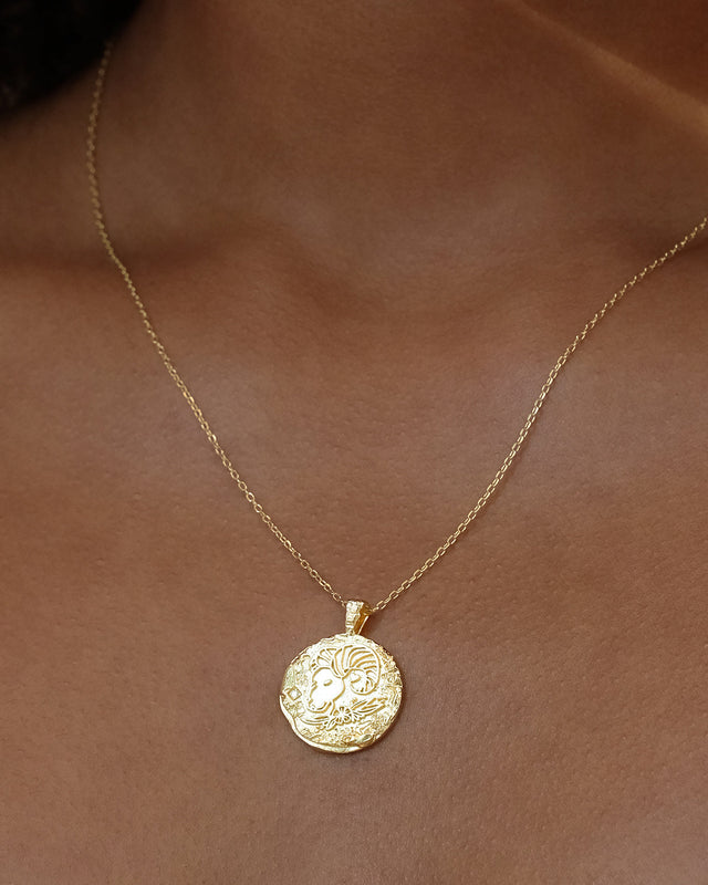 18k Gold Vermeil Written In The Stars Zodiac Necklace - Aries